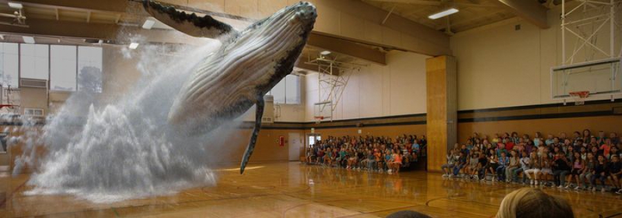 Magic Leap — афера на $1.4 миллиарда?