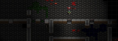 DoomRL скоро могут принудительно закрыть