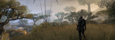 Гейм-директор The Elder Scrolls Online обратился к игрокам