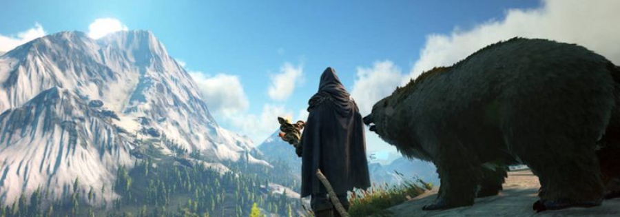 Многопользовательская ролевая игра Dark & Light выйдет в следующем году