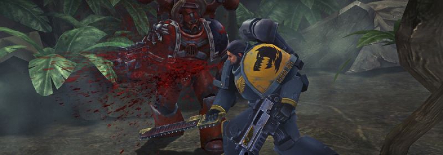 Warhammer 40,000 Space Wolf скоро Steam