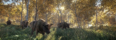 Свежий геймплей theHunter: Call of the Wild