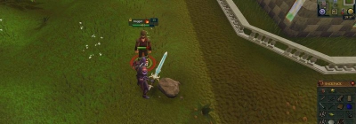 Важное событие в Runescape привело к тотальному провалу