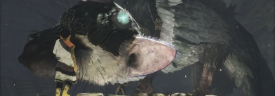The Last Guardian весит всего ничего
