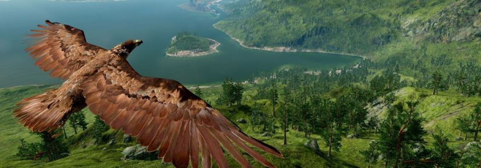Эксклюзив для PS4 от Мишеля Анселя WiLD все еще в разработке
