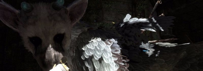 Распаковка пресс-кита The Last Guardian