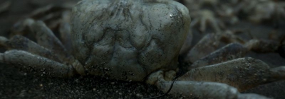 Локации из второго трейлера Death Stranding