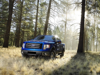 Ford планирует построить тринадцать гибридов за пять лет