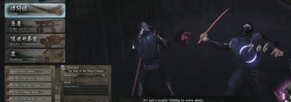 Гайд Nioh — как получить лучший для ниндзя сет брони Ига Джонин
