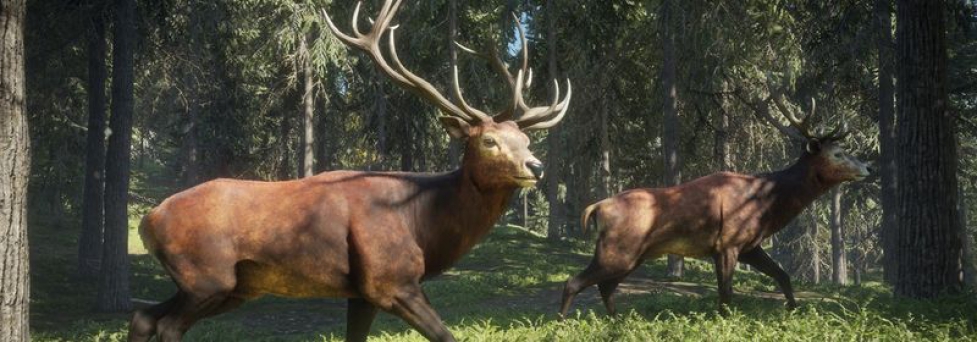Симулятор охотника theHunter: Call of the Wild выйдет в феврале