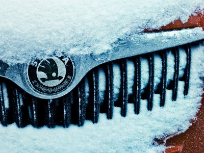 Российские продажи Skoda в ноябре выросли на 3 процента