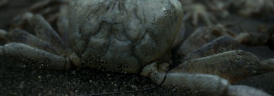 В Death Stranding будет одна концовка