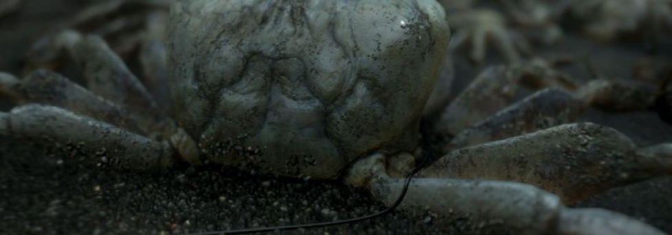 В Death Stranding будет одна концовка